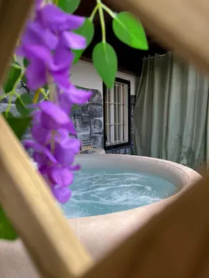 a bath tub with purple flowers in the foreground at Garnì Belvedere in Predazzo