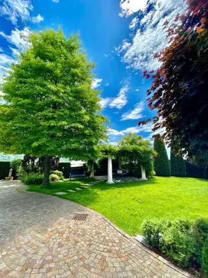a brick walkway with a tree in a park at Appartamento Le Colonne - Relais Villa Quercia in Tassullo