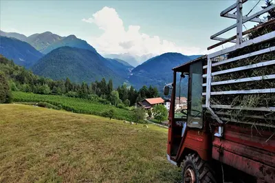 a red truck parked in a field with mountains in the background at Koflhof Urlaub auf dem Bauernhof in Aldino