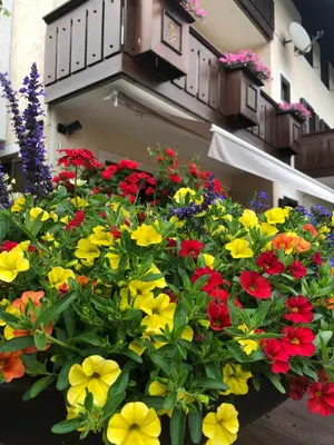 a bunch of colorful flowers in front of a building at Villa Tisot in Fiera di Primiero