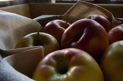 a pile of apples sitting in a box at Apartments Ciasa Colz in La Villa