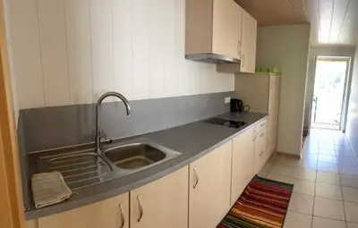 a kitchen with a sink and a counter top at Alpen Ferienwohnung Ill in Lappago