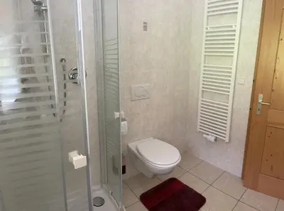 a bathroom with a toilet and a glass shower at Alpen Ferienwohnung Ill in Lappago