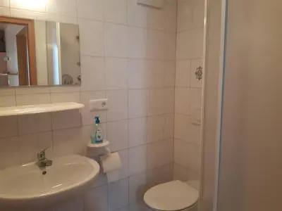 a bathroom with a sink and a toilet and a shower at Alpen Ferienwohnung IV in Lappago