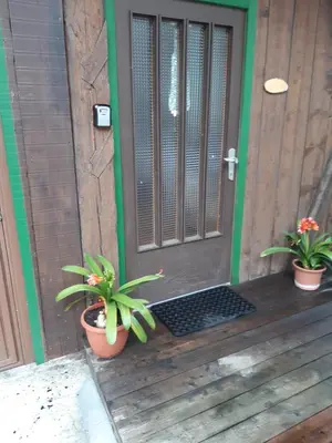 two potted plants sitting on the front porch of a house at Alpen Ferienwohnung IV in Lappago