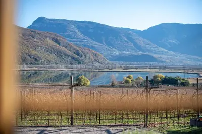 a view of a lake with mountains in the background at Weinhof am See in Caldaro