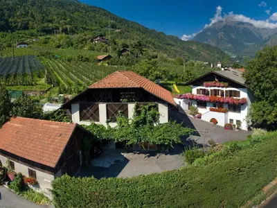 an aerial view of a house in a vineyard at Moserhof in Marlengo