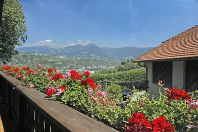 a row of flowers on a balcony with mountains in the background at Moserhof in Marlengo