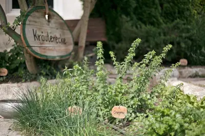 a garden with a sign in the middle of a plant at Perlhof in Schenna