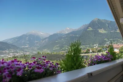 a view of mountains from a balcony with purple flowers at Pension Etschland in Tirolo