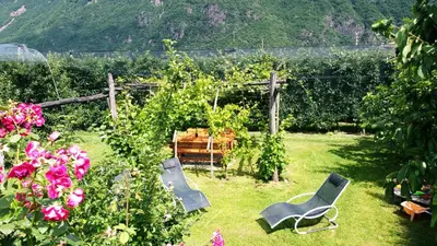 a garden with a chair and roses in the grass at Villa Trogerhof in Ora/Auer