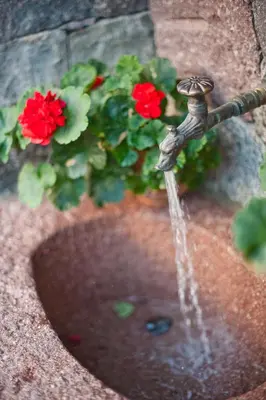 a water fountain with red flowers in a planter at Ferienwohnungen Trogerhof in Ora/Auer