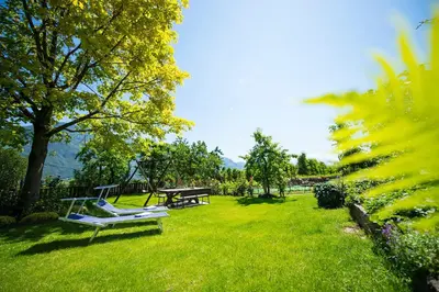 a park with two benches and a picnic table at Pension Stamserhof in Nalles