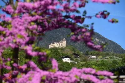 a castle on top of a hill with pink flowers at Pension Stamserhof in Nalles