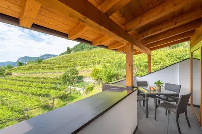 a balcony with a table and chairs and a vineyard at Finkenhof: Ferienwohungen - Urlaub auf dem Bauernhof in Termeno