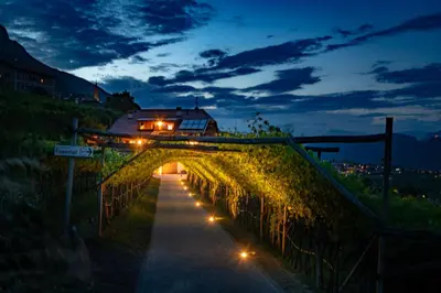 a small bridge with lights on it at night at Finkenhof: Ferienwohungen - Urlaub auf dem Bauernhof in Termeno