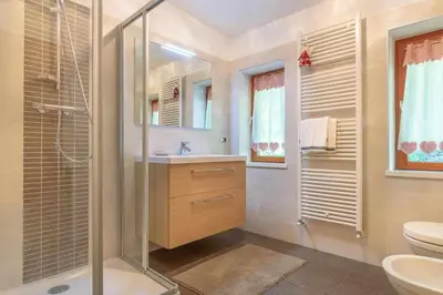 a bathroom with a shower and a sink and a toilet at Al Faggio Ponciach Altavalle OSPITAR in Sover