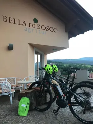 two bikes parked outside of a building with helmets on them at Agritur Bella di Bosco in Coredo