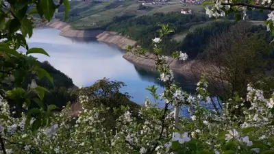 a view of a river with white flowers at Agritur Vista Lago in Revò