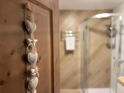 a bathroom with a shower and a door with seashells at My Dolomites Home in Livinallongo del Col di Lana