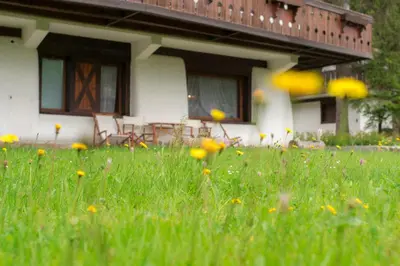 a field of grass with flowers in front of a house at Casa vacanze 5 Torri in Cortina dʼAmpezzo