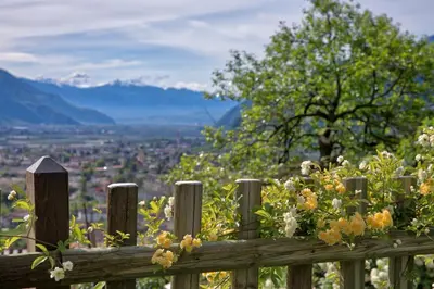 a wooden fence with flowers on top of it at Glögglhof in Lana