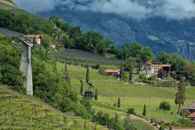 a vineyard on a hill with a house in the distance at Glögglhof in Lana