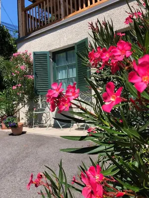 a house with pink flowers in front of it at Glögglhof in Lana