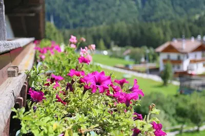 a bunch of pink flowers on a balcony at Gasthof Albergo Neuwirt in Val di Vizze