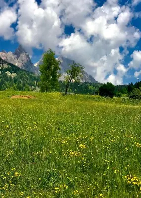 a snow covered field with a mountain in the background at App G&G in Sagron Mis