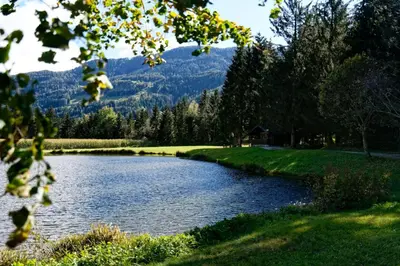 a lake in a field with mountains in the background at Nestlhof in Vipiteno