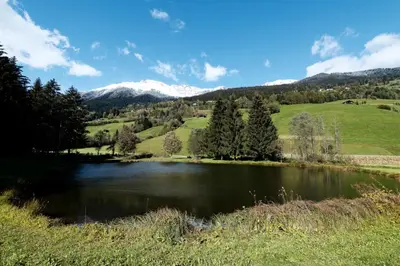 a lake in a field with mountains in the background at Nestlhof in Vipiteno