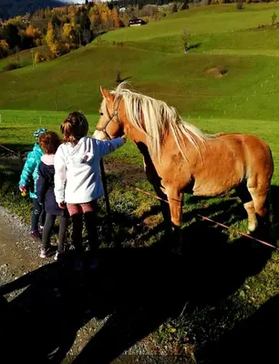 a group of children petting a horse in a field at Nestlhof in Vipiteno