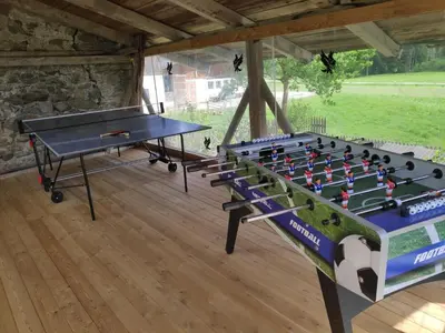 a ping pong table in a room with a ping pong ball at Nestlhof in Vipiteno