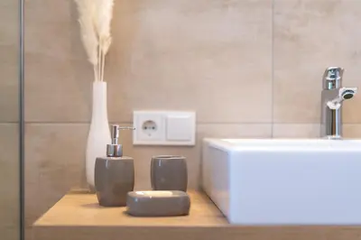 a bathroom with a counter with a toothbrush and a sink at Apfelhof in Termeno