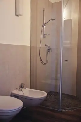 a bathroom with a shower and a sink and a toilet at SAN ROMEDIO Agriturismo in Romeno
