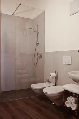 a bathroom with a shower and a toilet and a sink at SAN ROMEDIO Agriturismo in Romeno