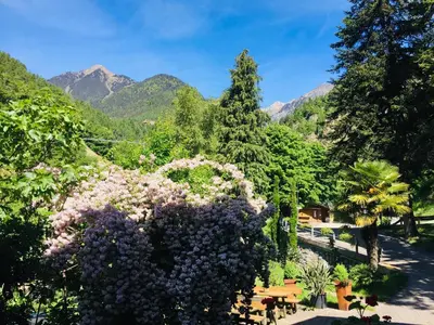 a garden of flowers with mountains in the background at Tannerhof Bed & Breakfast in Caines