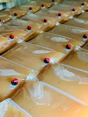 a group of white chocolate bars with cherries on them at Tannerhof Bed & Breakfast in Caines