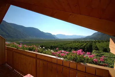 a view from the balcony of a house with flowers at Hotel & Residenz Traubenheim in Nalles