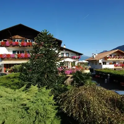 Hotel & Residenz Traubenheim