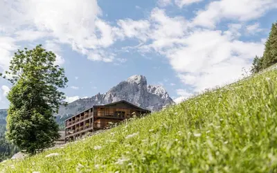 a mountain covered in snow with trees and the sun at La Majun Fornellahof in Antermoia