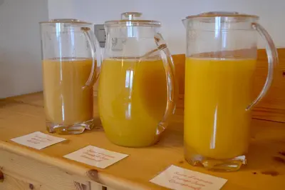 two glasses of orange juice on a wooden table at Agritur Fiore in Fondo