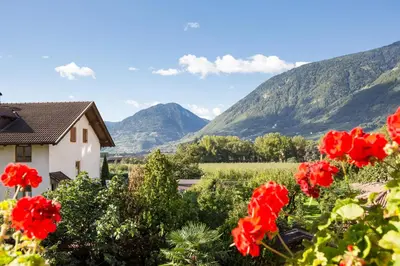 a house in a field of flowers with mountains in the background at Hotel Gruberhof in Merano