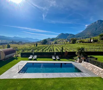 a villa with a swimming pool and a vineyard at Weingut Gasshof in Appiano sulla Strada del Vino