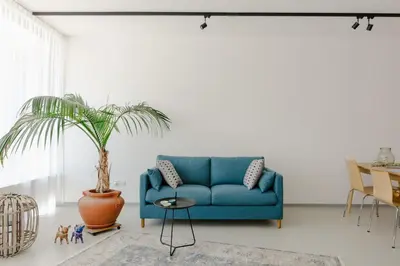 a blue couch in a living room with a plant at La Villetta 17 - smarter Rückzugsort für die großen Winter-Wettkämpfe in Lana