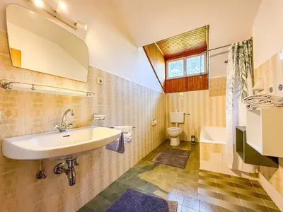 a bathroom with a sink and a toilet at Strengen Guesthouse in Caldaro