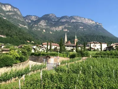 a village with a vineyard and mountains in the background at Strengen Guesthouse in Caldaro