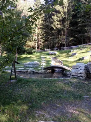 a bridge over a pond in a field with trees at Appartamento Riscone Nuvola di Plan in Brunico