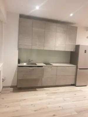 a kitchen with wooden floors and stainless steel appliances at Roma Ariston 7 in Bolzano
